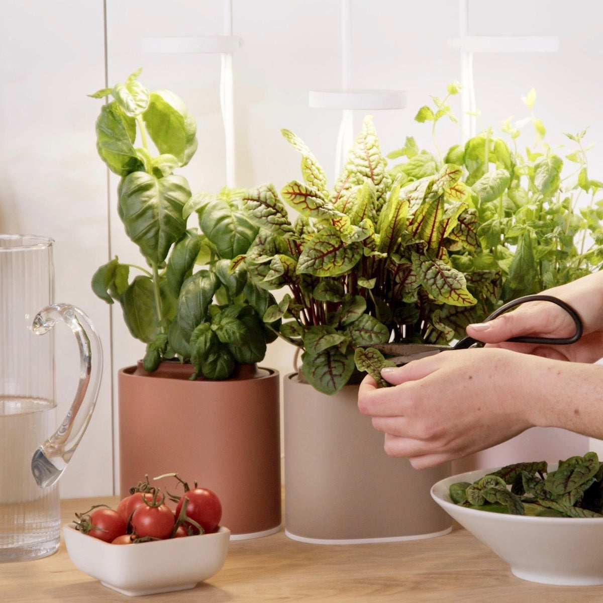 Nano Garden Gris Sable